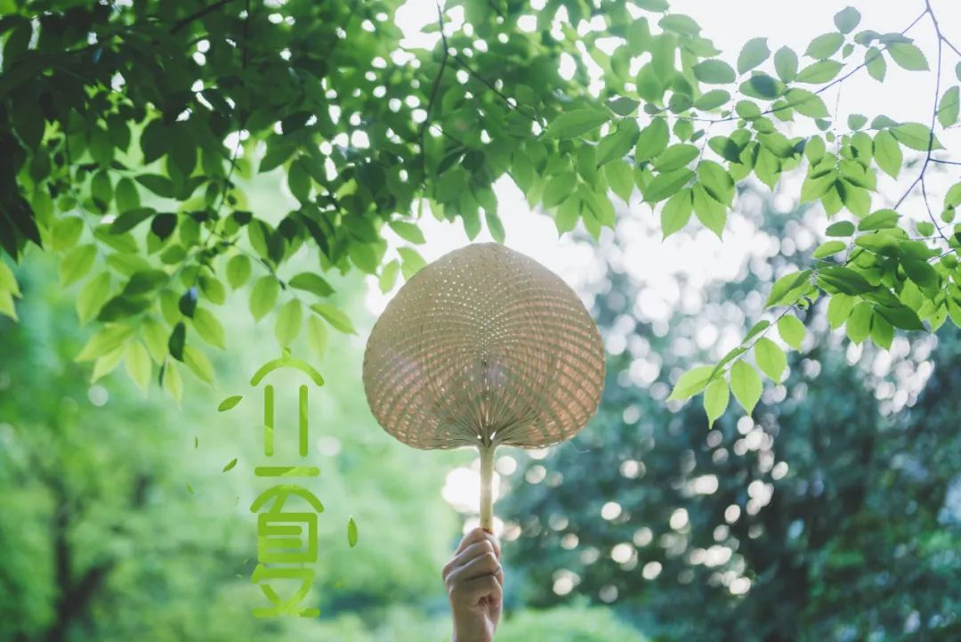 神州姜窖 | 立夏 春逝夏始