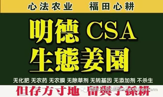 2018年心法农业 福田心耕之明德CSA生态姜园七不小黄薑春耕喜乐开锄感恩节 邀请函