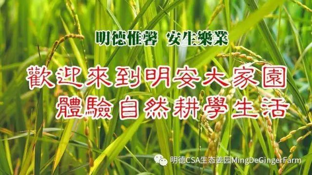 2018年心法农业 福田心耕之明德CSA生态姜园七不小黄薑春耕喜乐开锄感恩节 邀请函