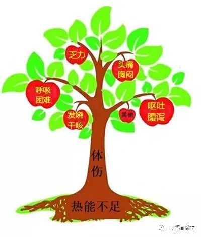 老年病（胃疼，头常年晕涨，咳嗽，痔疮，子宫肌瘤）案例